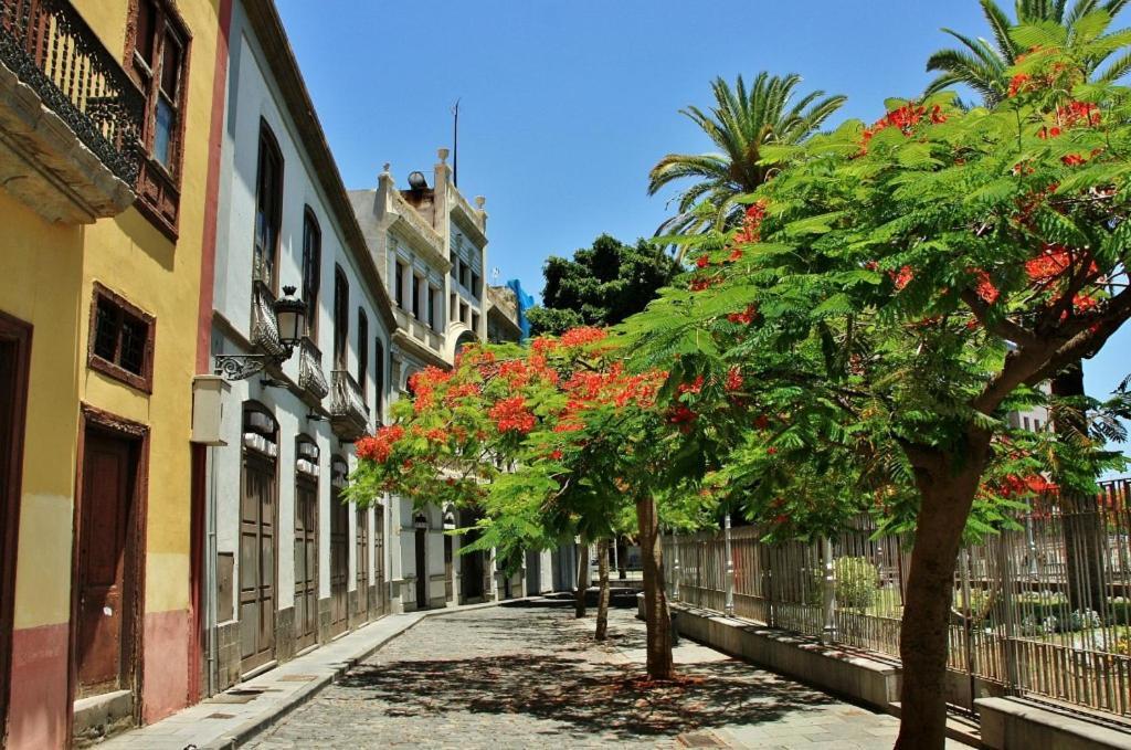 Apartamento Bien Situado - Buenas Conexiones Santa Cruz de Tenerife Exterior photo